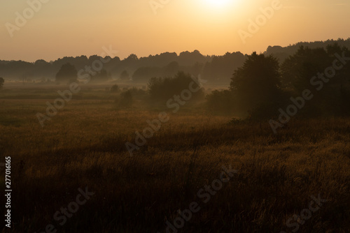 morning on meadow. sunrise landscape photo with vintage effect