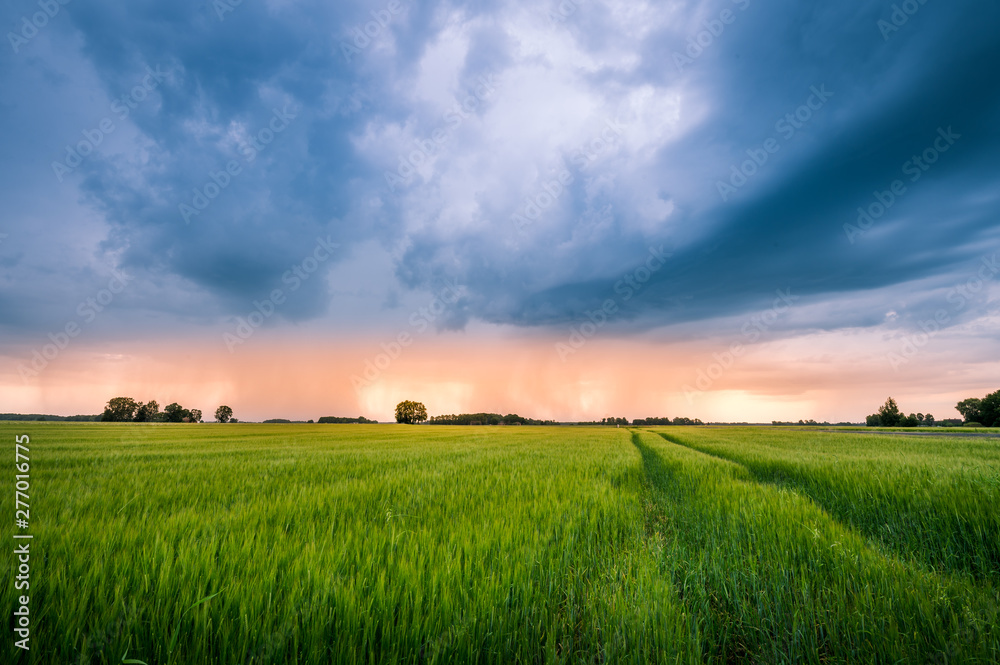 Impressive thunderstorm over a barley field in summer time. Dark storm clouds covering the rural landscape. Intense rain shower in distance. Motion created by windy weather. Impressive thunderstorm over a barley field in summer time. Dark storm clouds covering the rural landscape. Intense rain shower in distance. Motion created by windy weather.