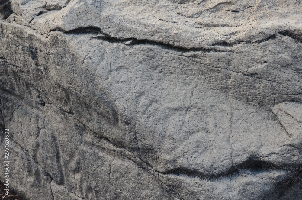 Petroglyphs of Sikachi-Alyan. Russia. Khabarovsk region Petroglyphs of Sikachi-Alyan. Russia. Khabarovsk region