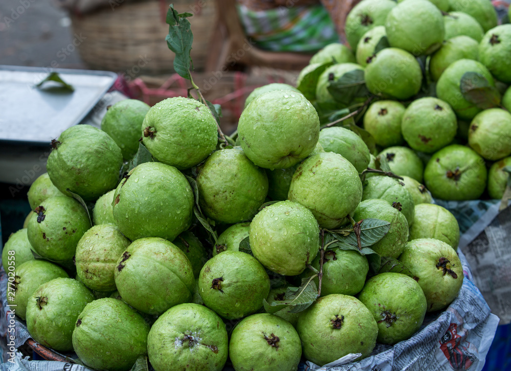 guava is a fruit with high nutritional value guava is a fruit with high nutritional value