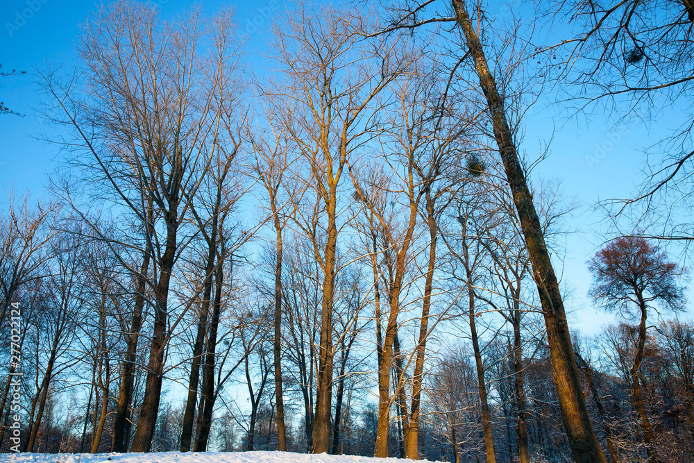 winter day after a snowfall winter day after a snowfall