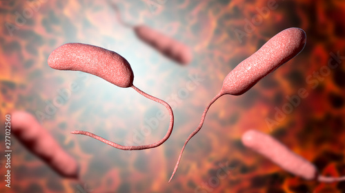 Bacterium Vibrio vulnificus, 3D illustration. The causative agent of serious seafood-related infections and infected wound after swimming in warm sea water photo