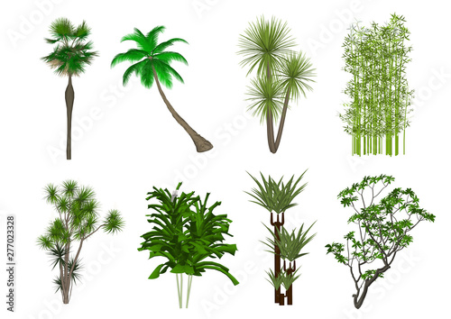 set of palm trees isolated on white background