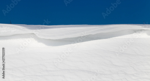 beautiful fallen white snow