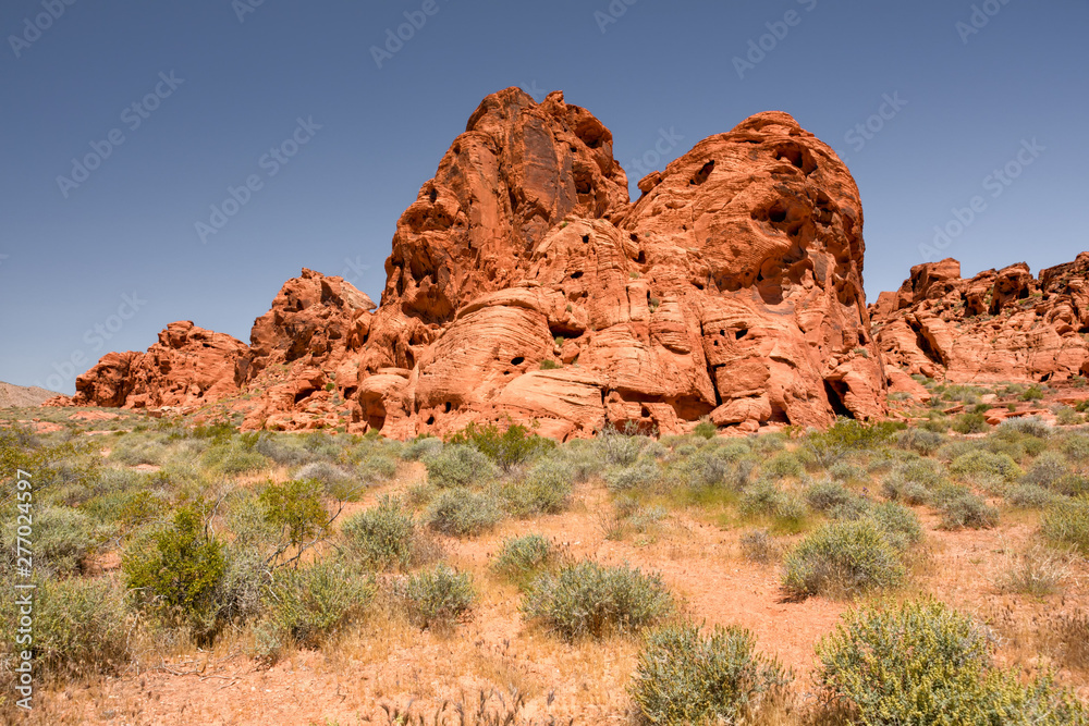 Fototapeta premium Valley of fire State Park Nevada USA