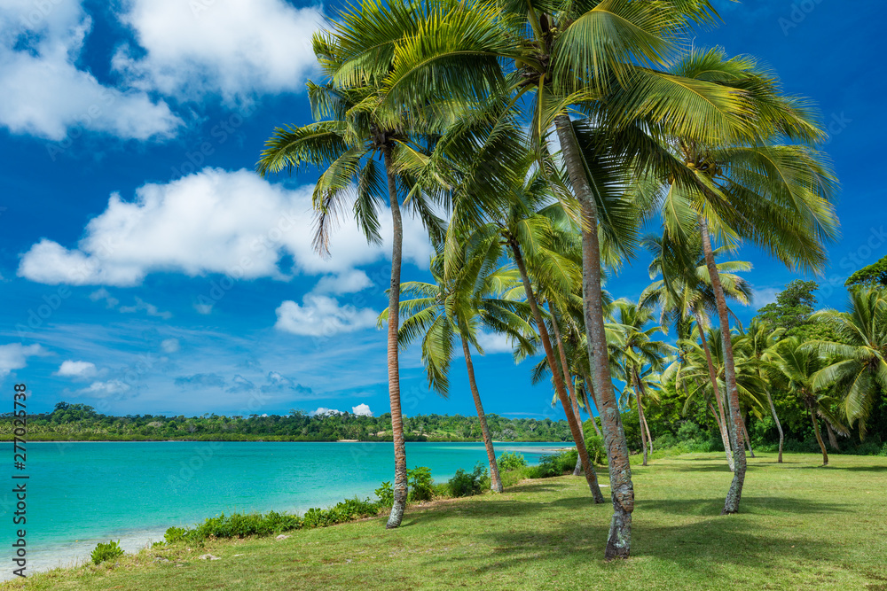 Fototapeta premium Tropical resort destination in Port Vila, Efate Island, Vanuatu, beach and palm trees