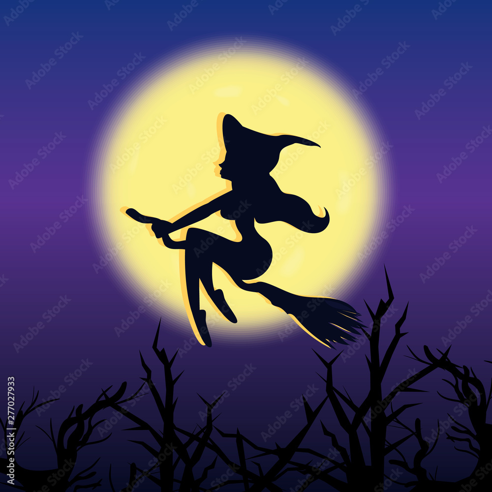 Fototapeta premium shadow of a witch in the background