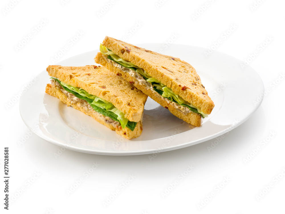 sandwich vegetal, vegetable sandwich