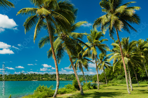 Tropical resort destination in Port Vila  Efate Island  Vanuatu  beach and palm trees