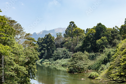 Royal Botanical Gardens, Peradeniya in Sri Lanka