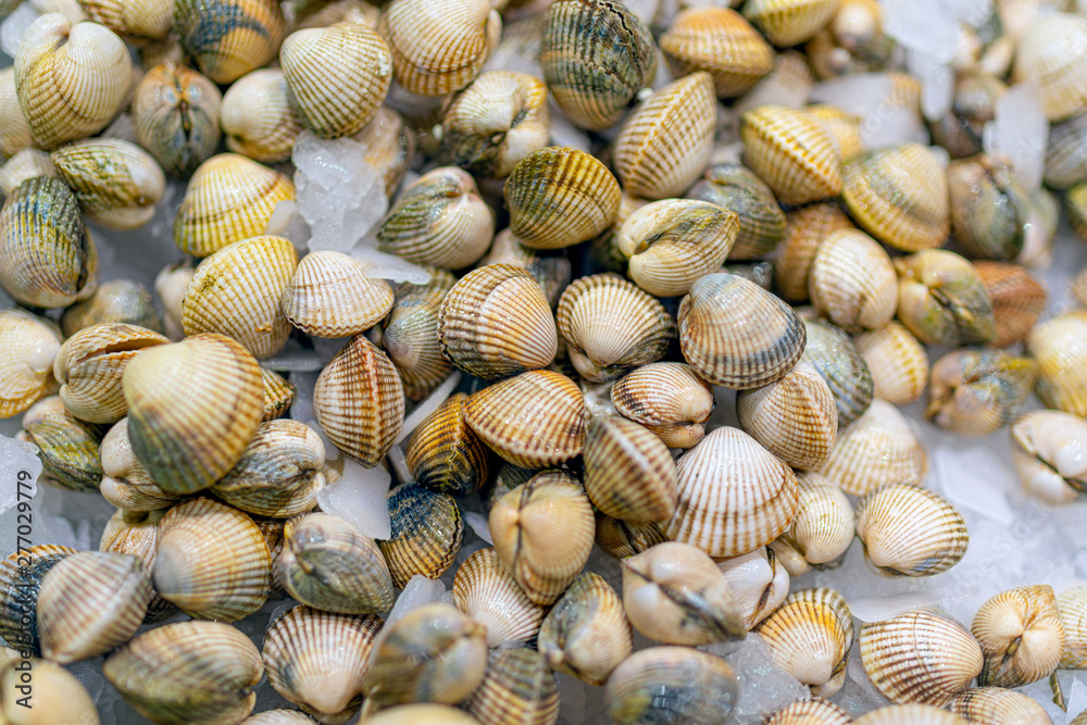 Fresh clams on the ice at fish market. Selective focus. Bokeh