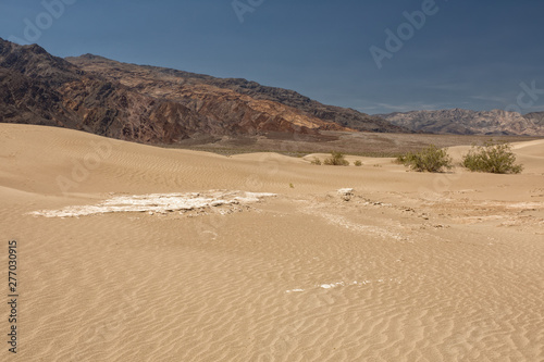 Mesquite Flat Sand Dunes  Death Valley National Park  USA
