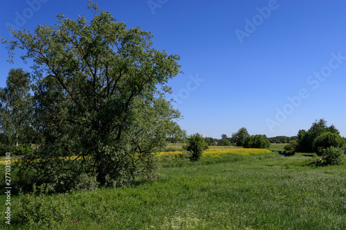 Sunny summer rural landscape with river, fields, trees and blue sky.