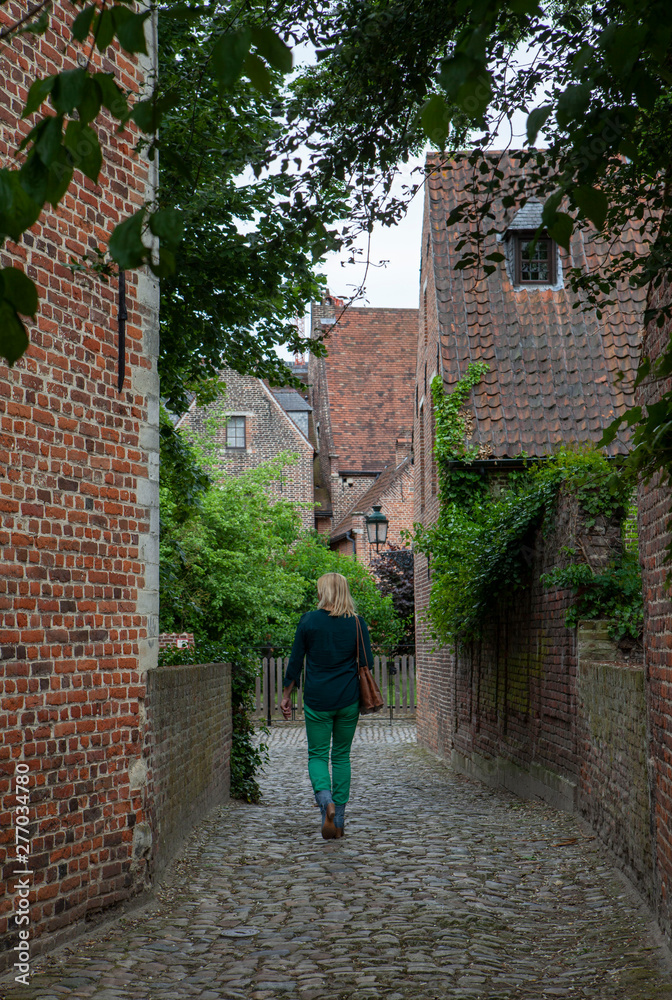 Historic city of Leuven Belgium. Begijnhof. Beguinage Historic city of Leuven Belgium. Begijnhof. Beguinage