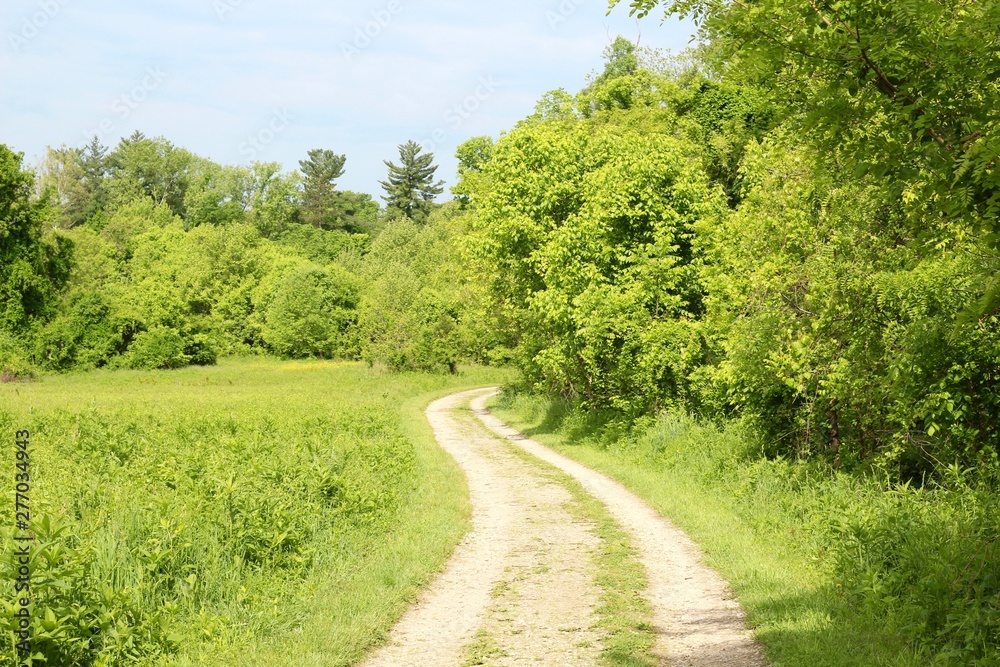 The winding gravel road in the sunny countryside. The winding gravel road in the sunny countryside.