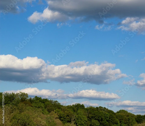 The gray and white clouds in the sky over the treetops. © Al