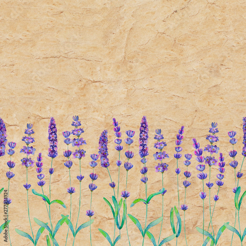 Lavender flowers watercolor...