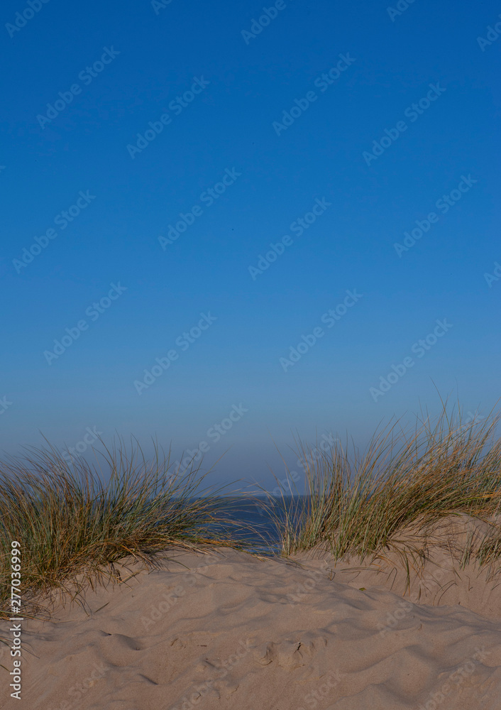 Belgium. Coast. Dunes