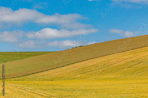 A tranquil farm landscape on a sunny summers day in Sussex