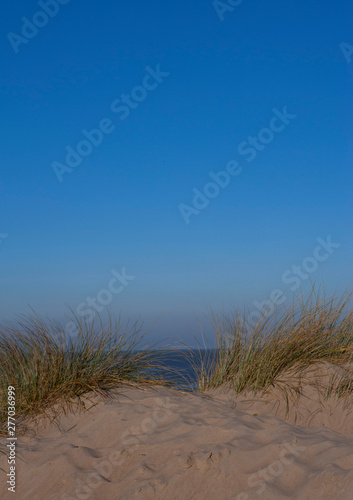 Fototapeta Naklejka Na Ścianę i Meble -  Belgium. Coast. Dunes