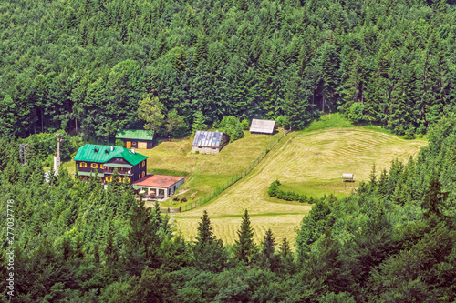 Coniferous forest and cottage from Hrb hill, Vepor, Slovakia photo