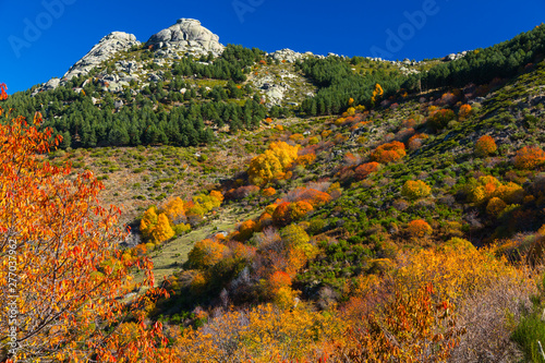 Ambroz valley, Cáceres, Extremadura, Spain, Europe photo