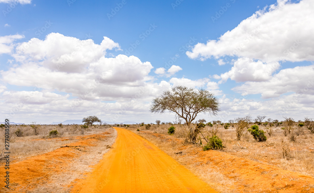 Safari road in Kenya - obrazy, fototapety, plakaty 