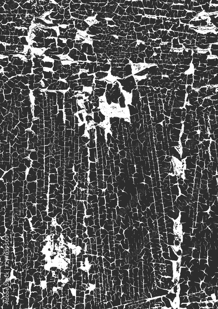 Distress old dry wooden texture. Black and white grunge background. Vector illustration
