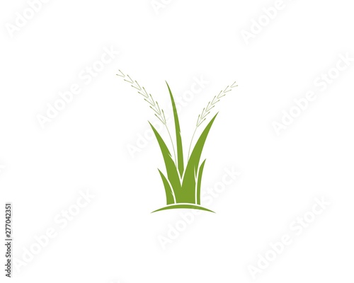 Fototapeta Naklejka Na Ścianę i Meble -  Grass logo vector template