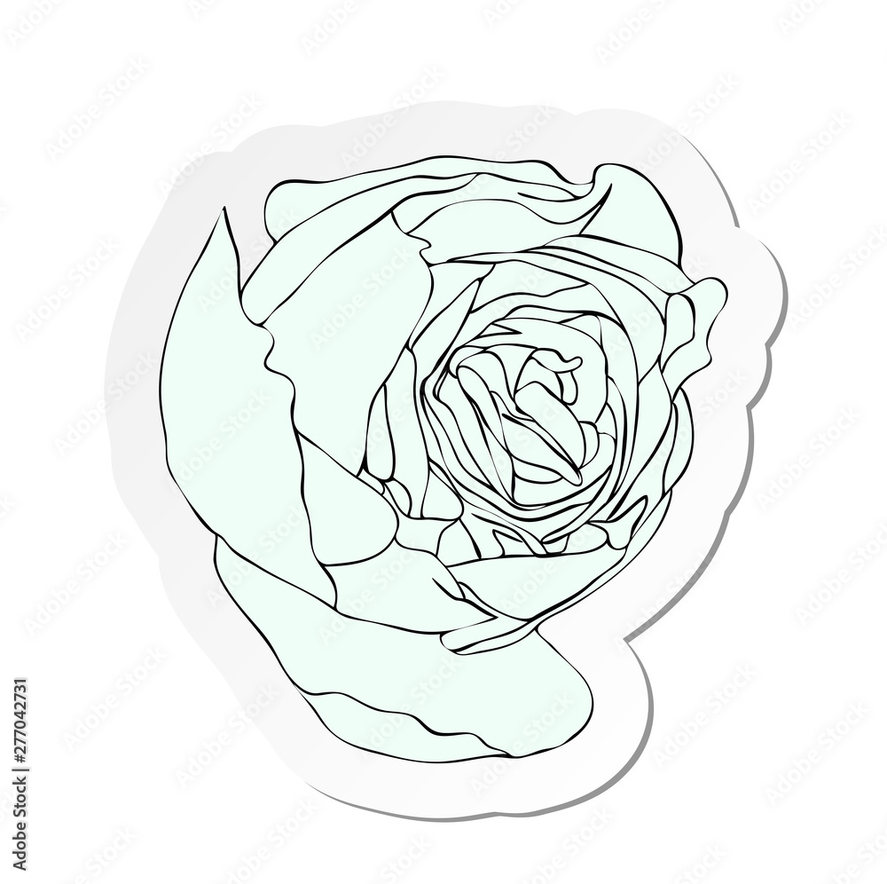 Vector illustration, sticker of white rose bud flower in flat cartoon style isolated on white background