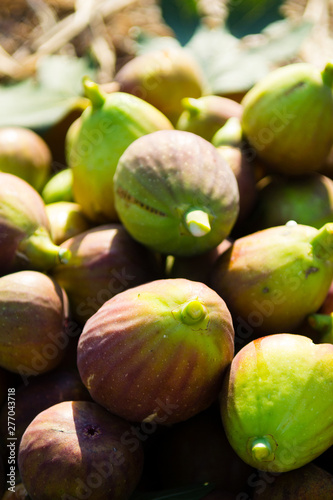 figs in wooden bowl, on hay at garden