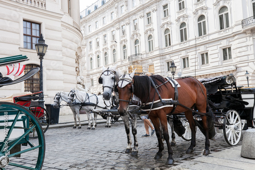 Old horsedrawn carriage riding on street in Vienna, Austria © dmf87