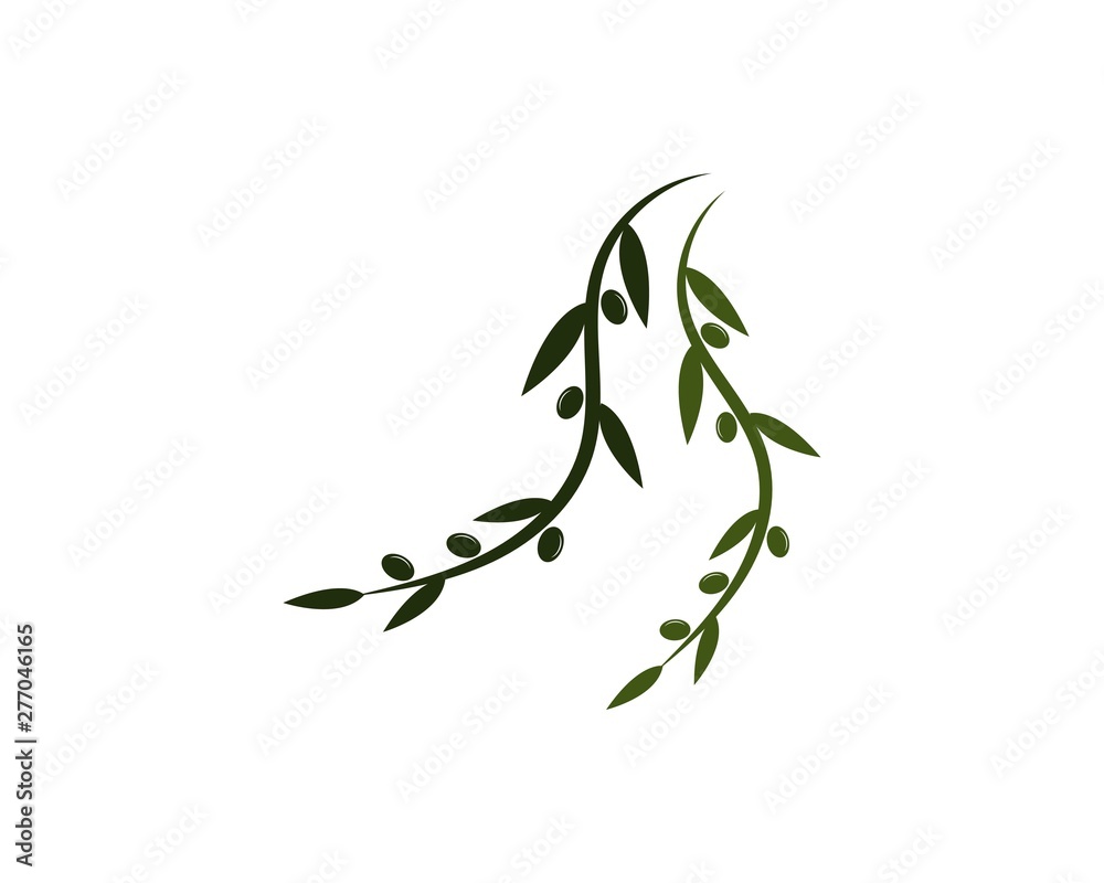 Fototapeta premium olive logo template vector design