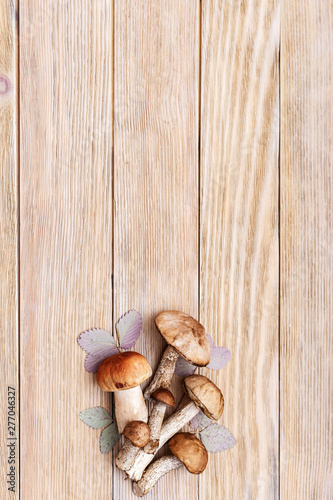 Wild leccinum mushrooms. Autumn harvest from forest, raw edible boletus edulis (king bolete) and brown cap boletus. Healthy Food background. Copy space. Flat lay.