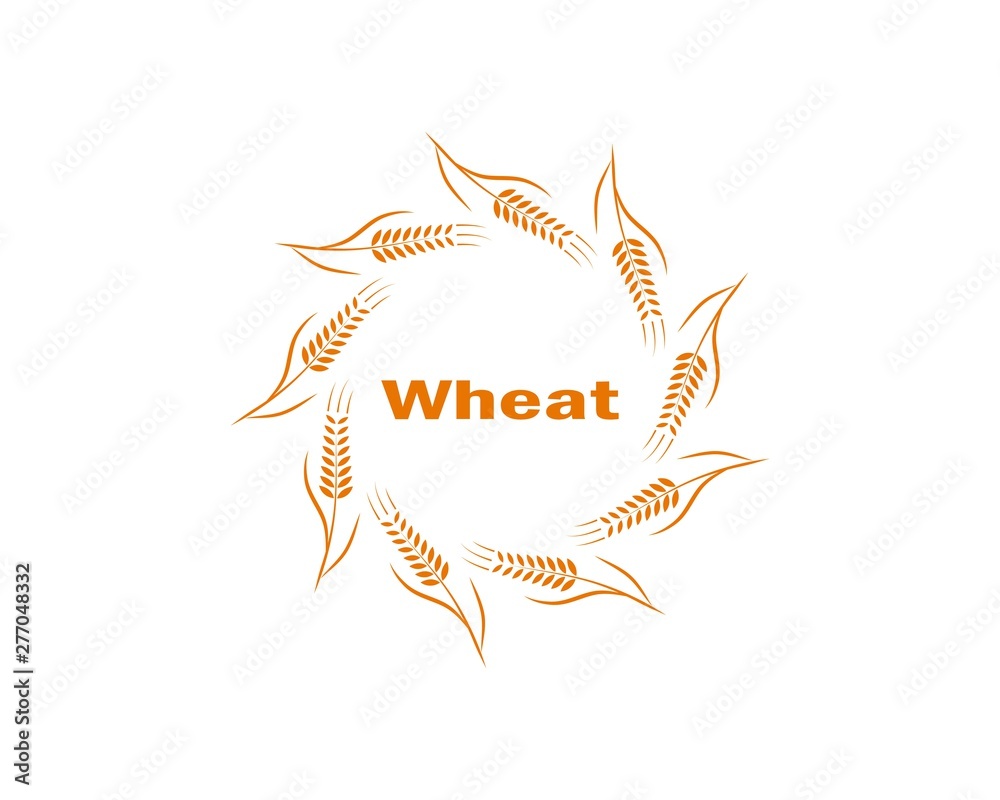 Agriculture wheat Logo Template vector icon design 