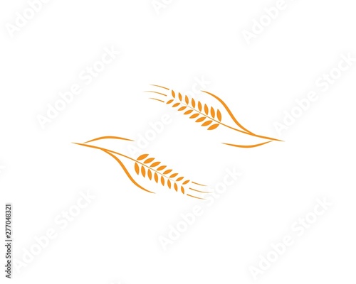 Agriculture wheat Logo Template vector icon design 