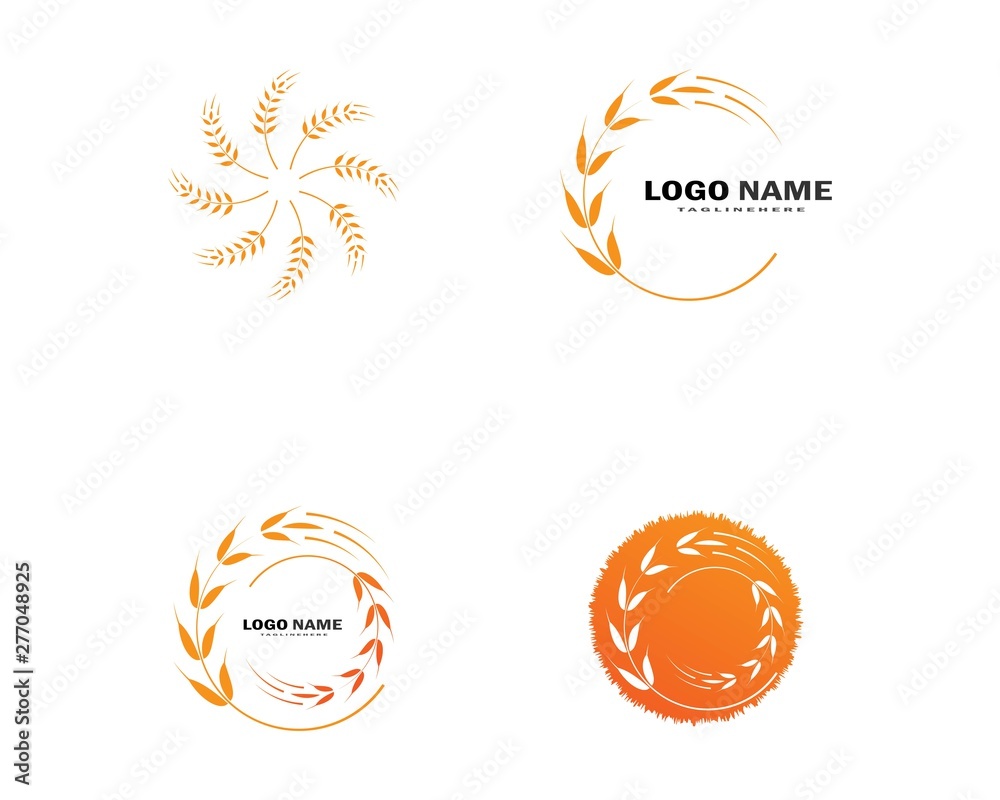Agriculture wheat Logo Template vector icon design 