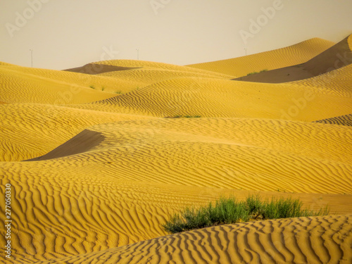 Dubai Desert Landscape