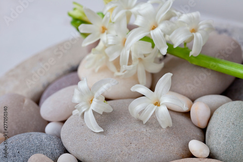 Still Life With Little White Spring Flowers