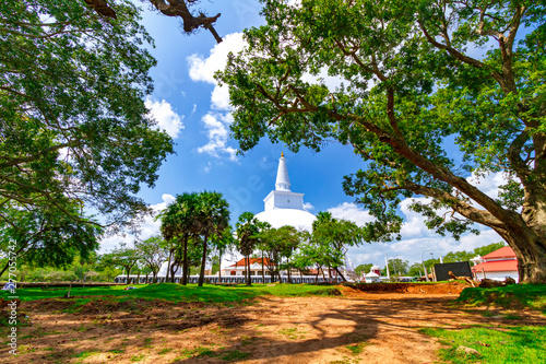 Mirisawetiya dagoba in Anuradhapura, Sri Lanka photo