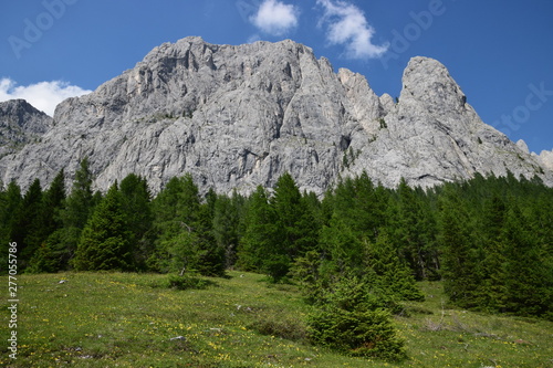 Fototapeta Naklejka Na Ścianę i Meble -  Alpi Carniche - Sappada, monte Peralba
