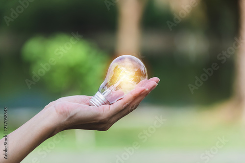 Hand of person holding light bulb on the nature background for solar,energy,idea concept.