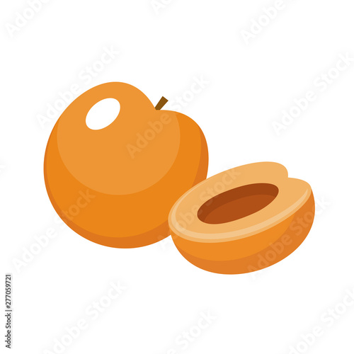 Apricot on a white background isolated