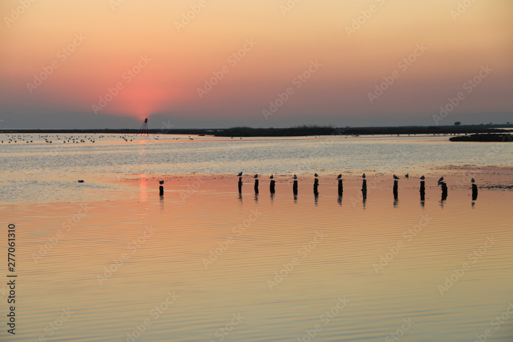 sunset on the lake