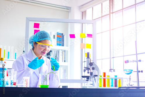 Young Asia  woman scientist working in laboratory.She is smell test with red and blue test tube.trying,research Experiment,chemical Photo concept develop and medicine.