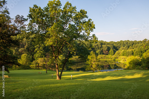 Photography Botanical Garden Landscape