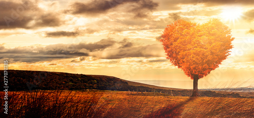 Baum in Herform in einer surrealen Landschaft bei sonnenuntergagn