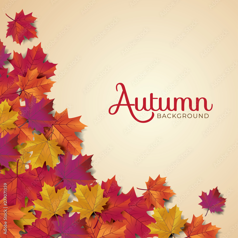 Autumn background layout typography decorate with leaves for greeting promo poster or web banner.Vector illustration template.
