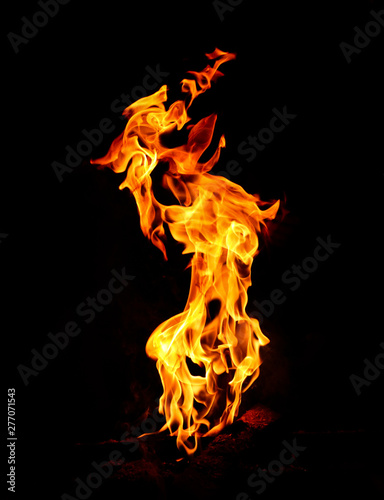 The Fire Dragon © Lakshya