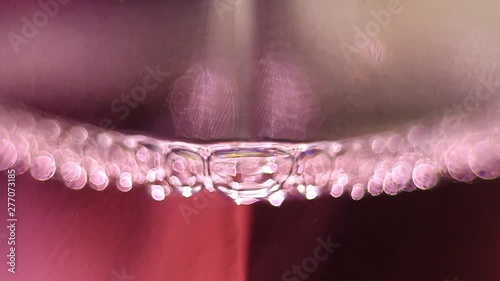 Close Up Of Exploding Air Bubbles In A Perfume Bottle. photo